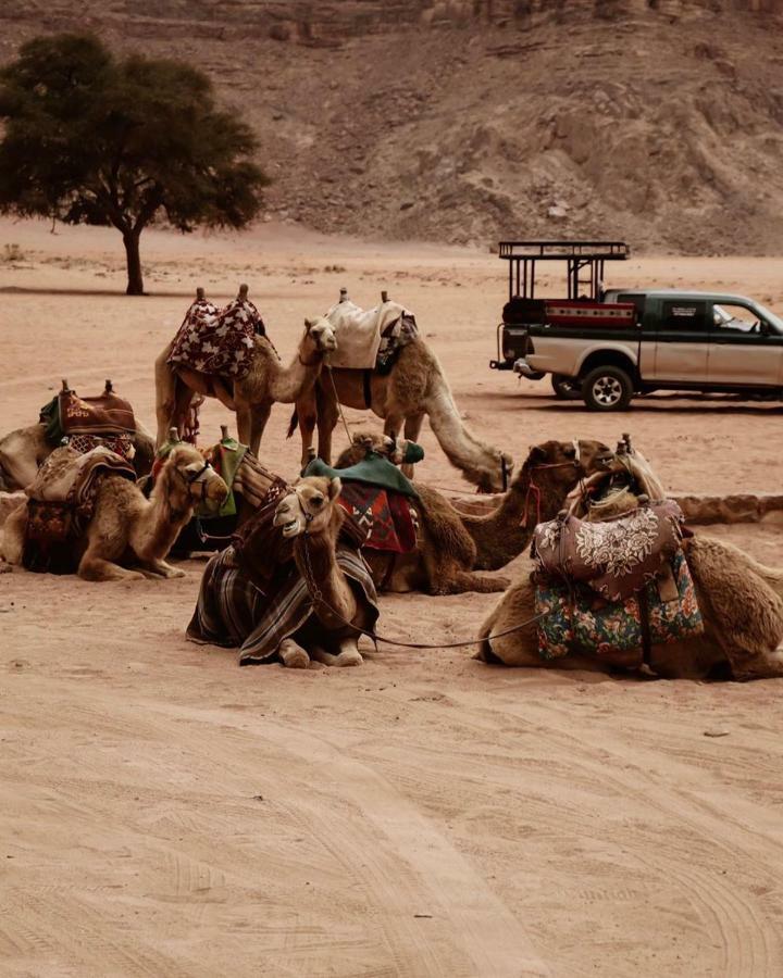 Wadi Rum Fun Time Tour'S Exteriör bild