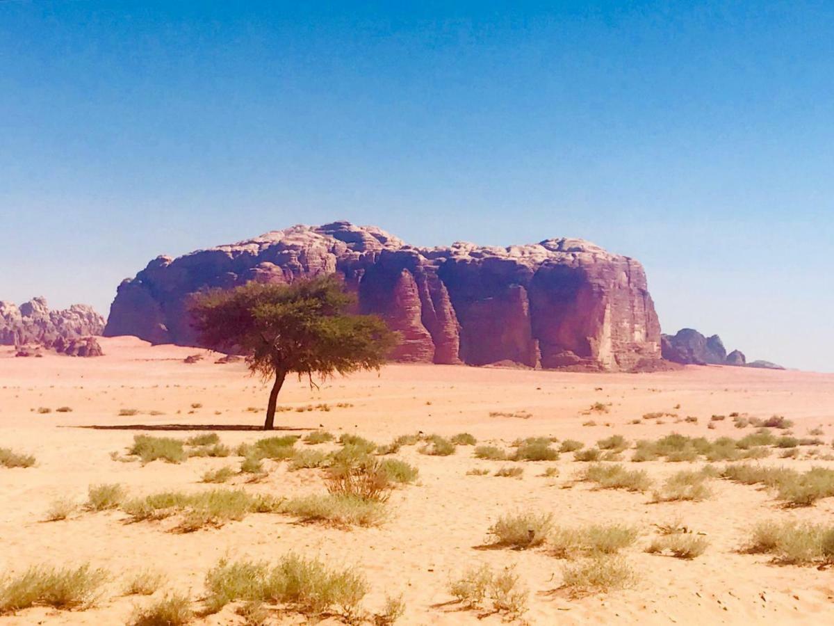 Wadi Rum Fun Time Tour'S Exteriör bild